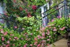 Wellers Hillrooftop-and-balcony-gardens-17.jpg; ?>